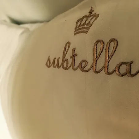 Subtella Poznań